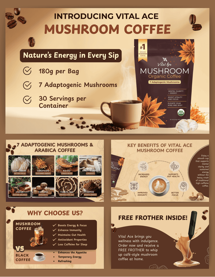 A+ EBC Content Module 1