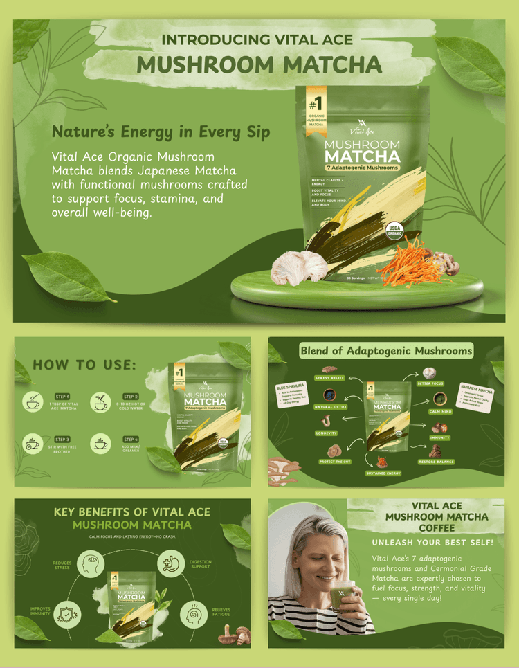 A+ EBC Content Module 2